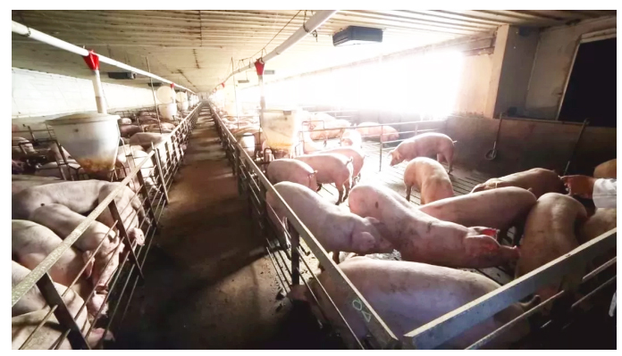 1618537882976489.jpg 6.jpg